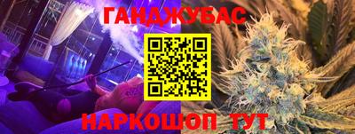 амф Донской