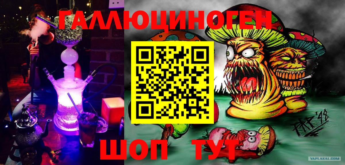 Псилоцибиновые грибы Psilocybine cubensis Минеральные Воды