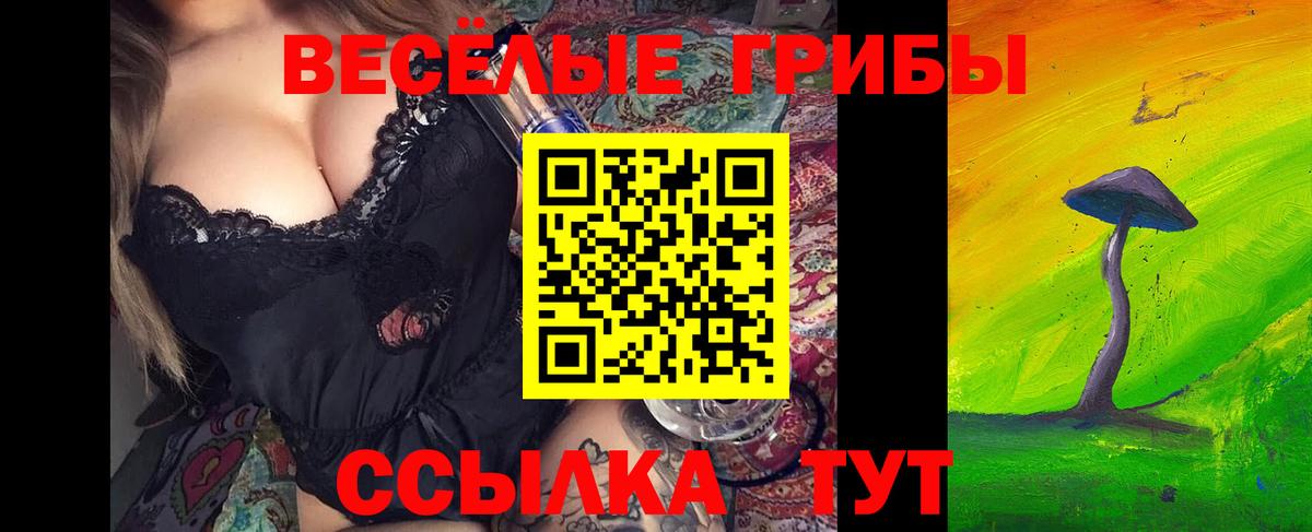 Минеральные Воды  Псилоцибиновые грибы прущие грибы  купить наркоту  Вход с VPN 